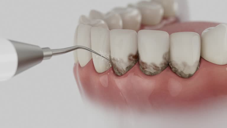 Reliable Dental contractor in Clarksdale, MS by Dentist Open Now